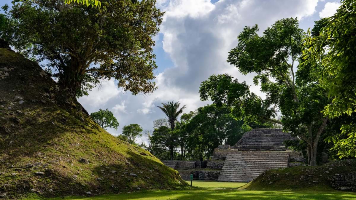 Mossy stone mounds and a stepped Maya pyramid rise amid tall green trees at the Altun Ha archaeological site in Belize.