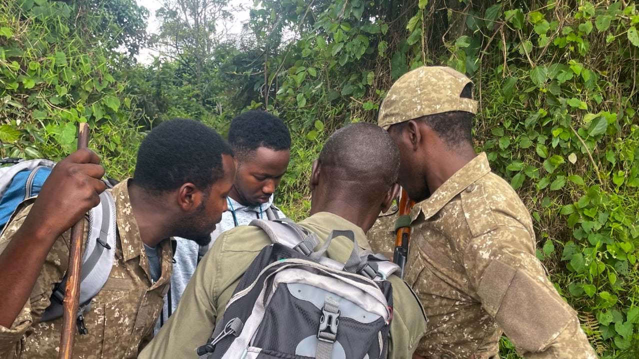 Four census team members in camouflage uniforms huddle together examining a device on a forested trail in Bwindi.