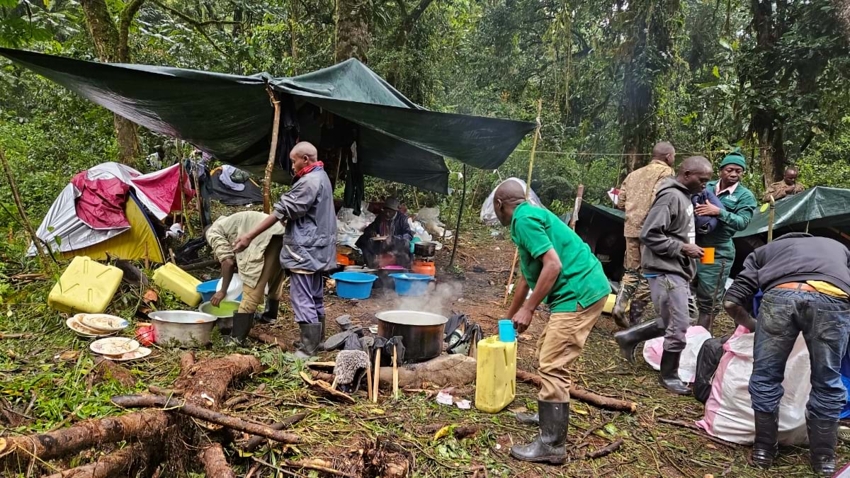 Census team members cook and prepare food at a makeshift camp under tarpaulins in Bwindi forest.