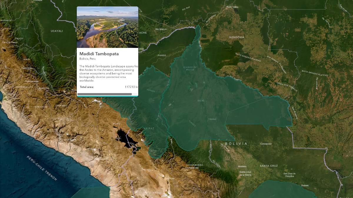 WCS Impact Platform map of the Madidi-Tambopata Landscape, a 117,210 km² protected area spanning Bolivia and Peru from the Andes to the Amazon basin.