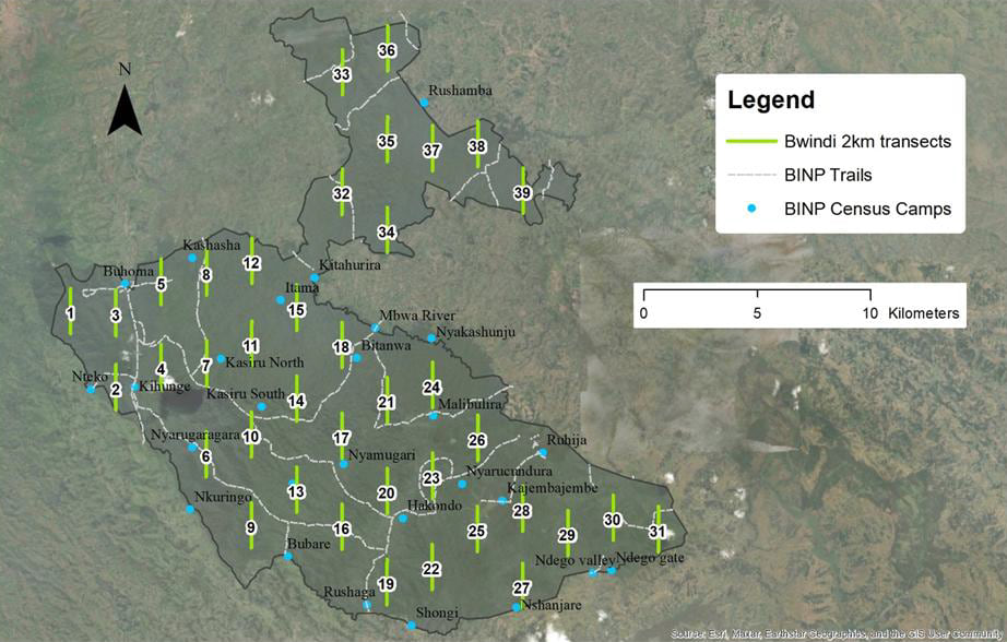 Map of Bwindi Impenetrable National Park showing 39 numbered green transect lines, white trail networks, and blue census camp locations across all four park sectors.