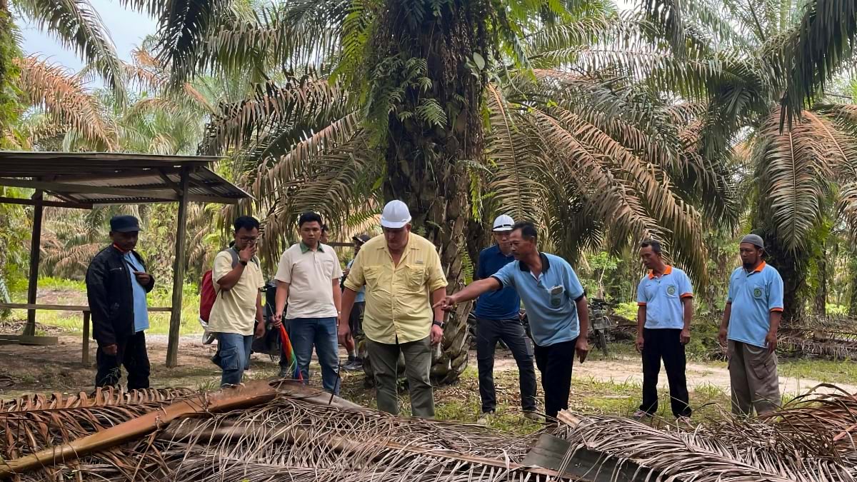 Group of men in hard hats and field clothes examining palm fronds on the ground during a plantation site visit in Indonesia.