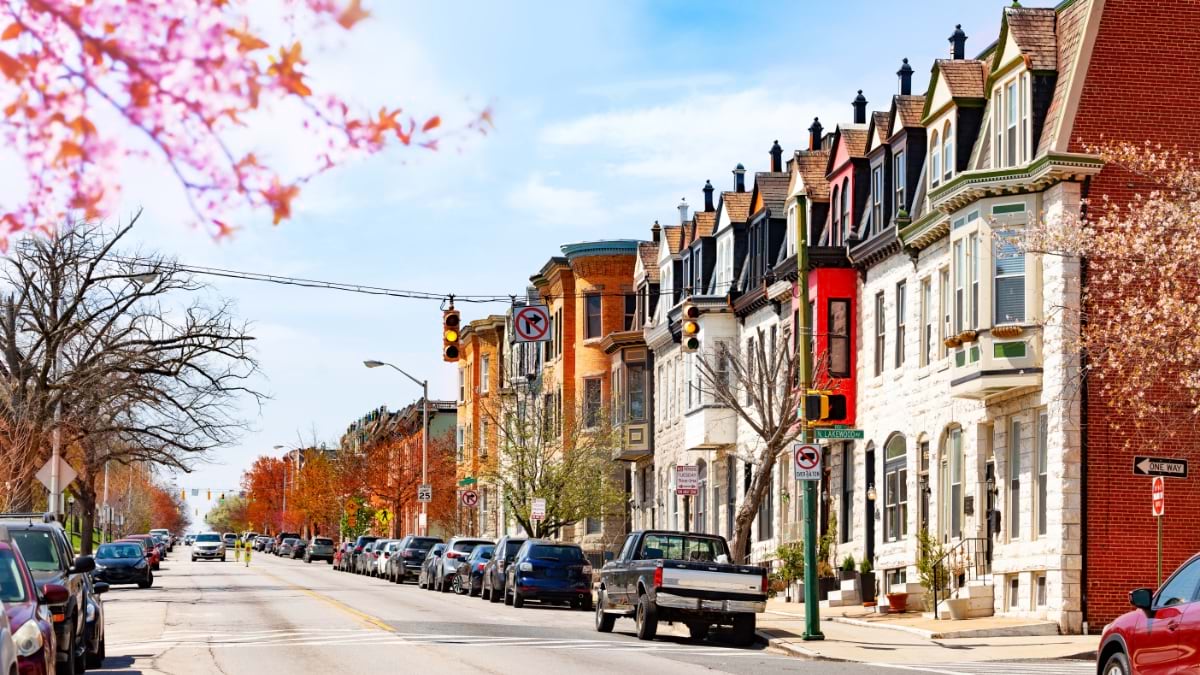 A sunny Baltimore street lined with occupied historic row houses in varied styles, with spring trees and parked cars.