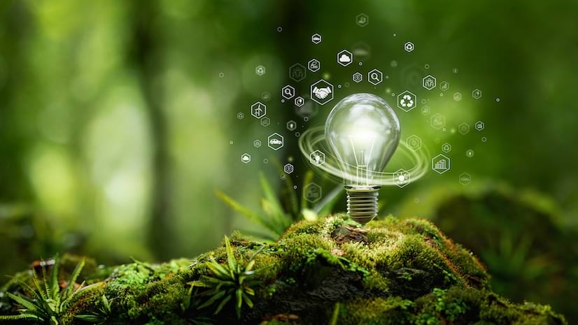 A light bulb pictured in a green forest surrounded by various white icons
