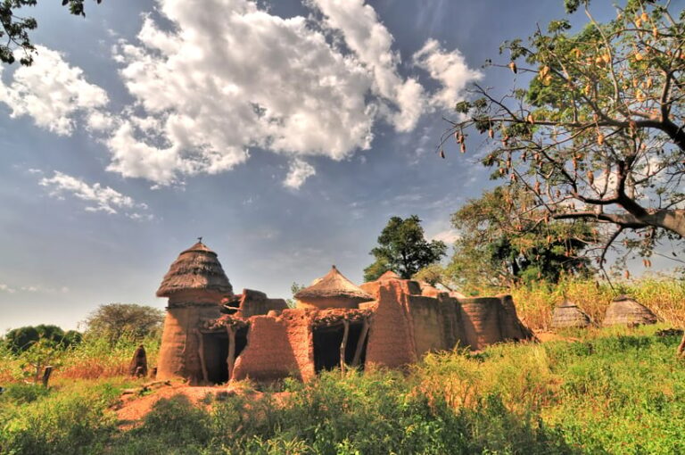 Photo of a group of houses made of mud in the middle of a grassy field.