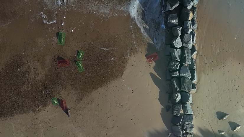 An aerial view of seals on a beach, with each seal outlined in a transparent red or green square