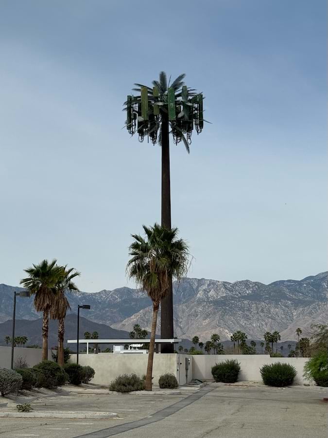A wireless tower resembling a palm tree