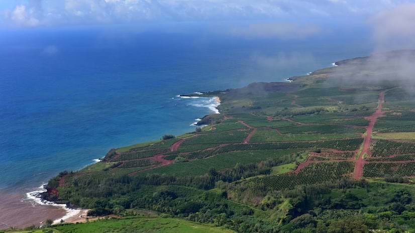 Green land and blue ocean representing the Hawaii coastline