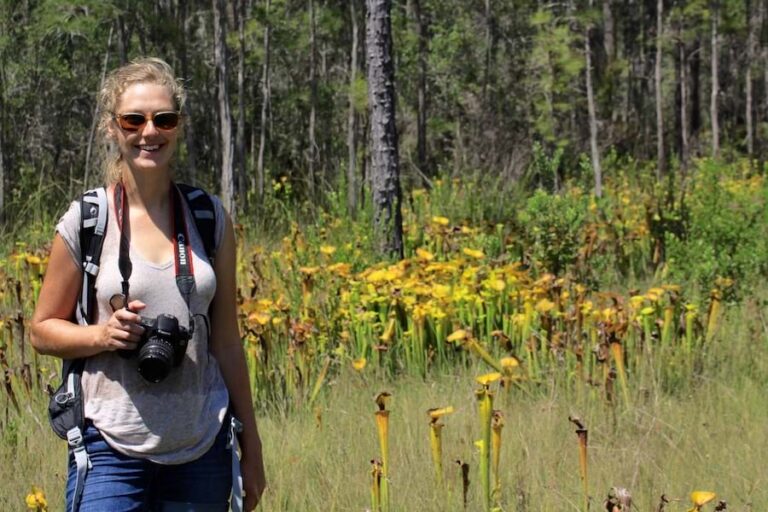 A woman with backpack holds a camera, standing in a grassy field of yellow pitcher plants with sparse pine trees behind