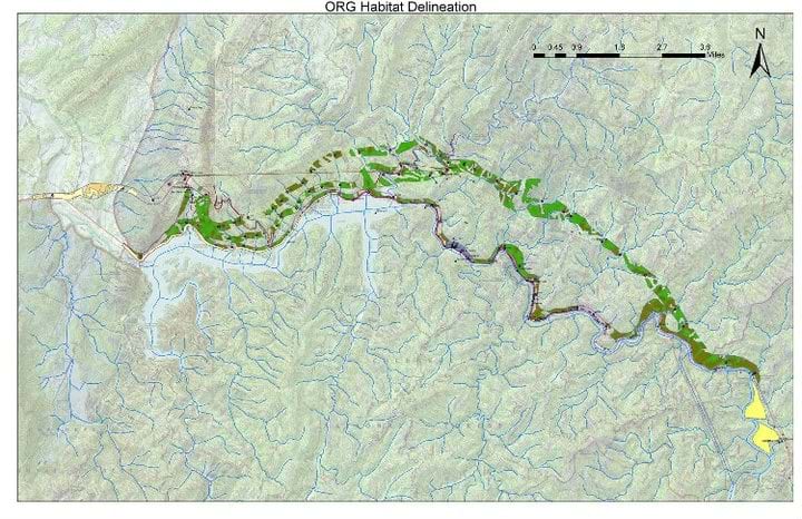 Map titled “ORG Habitat Delineation” showing a winding river corridor with green habitat polygons, roads, and a north arrow