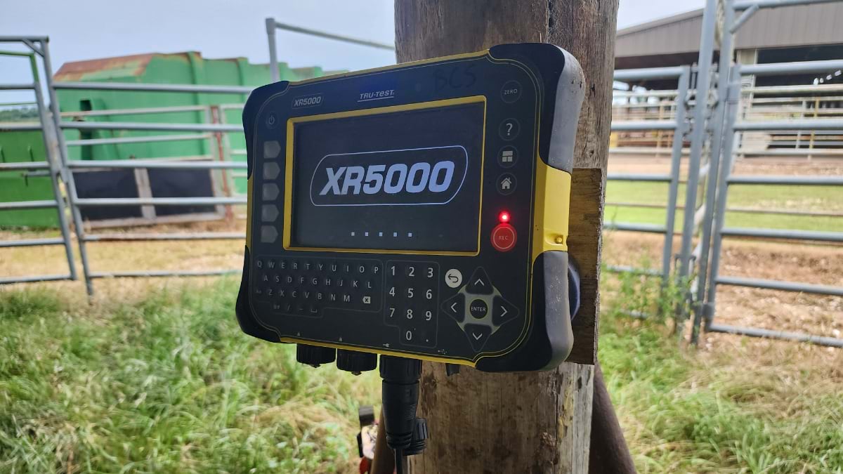 Tru-Test XR5000 data logger mounted on a post at a cattle working facility.