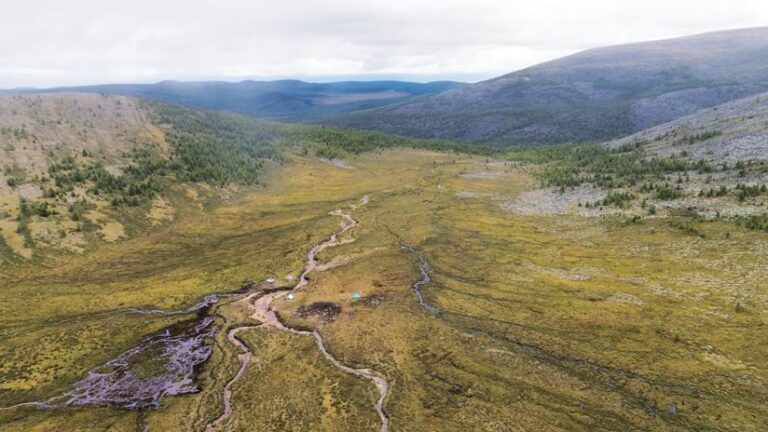 Drone shot of a green valley with multiple streams, a forest in the background, and a collection of tents in the center of the image.