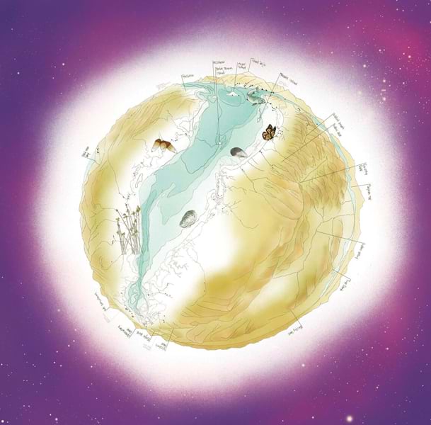 Representation of a brown and blue sphere with various labels and icons representing features and wildlife against a purple background.