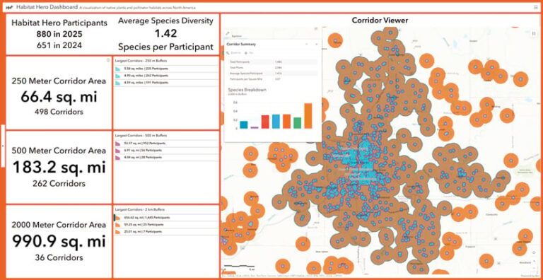 Screenshot of a dashboard with data about Habitat Hero participants and species diversity on the lefthand side. On the right, a map titled “Corridor Viewer” displays many blue dots surrounded by brown and orange circles, indicating the distribution of pollinator habitat.