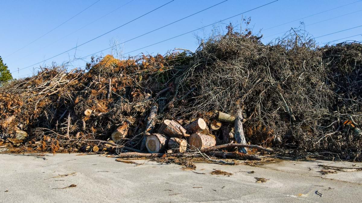 Large pile of felled trees and cut logs stacked beside a road after Hurricane Helene.
