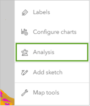 The settings toolbar in Map Viewer with the word analysis in a green box