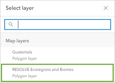 A select layer pane in Map Viewer with a layer name in a green box