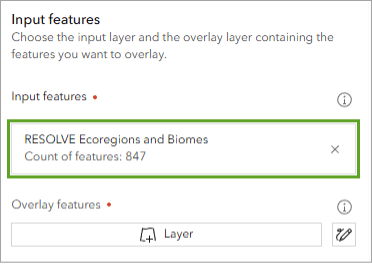 An input features window in Map Viewer with a layer highlighted in a green box