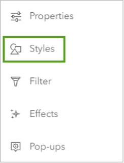 The styles option selected in the Settings toolbar in Map Viewer