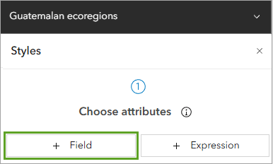 The styles pane in Map Viewer