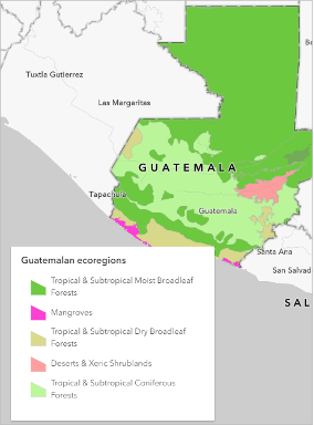 A multicolored map of Guatemala in green, pink, and beige, with popup window of Guatemala ecoregions