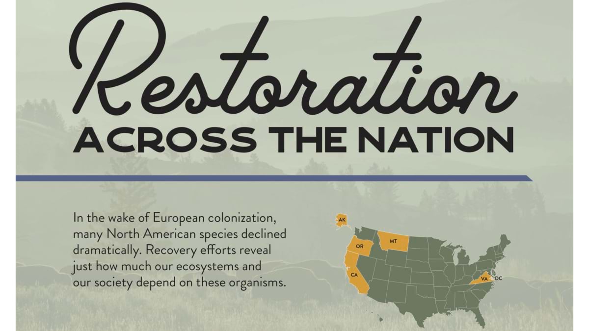 Title graphic reading "Restoration Across the Nation" over a faded landscape photo, with a US map highlighting Alaska, Oregon, California, Montana, Virginia, and D.C. in gold to mark restoration story locations.