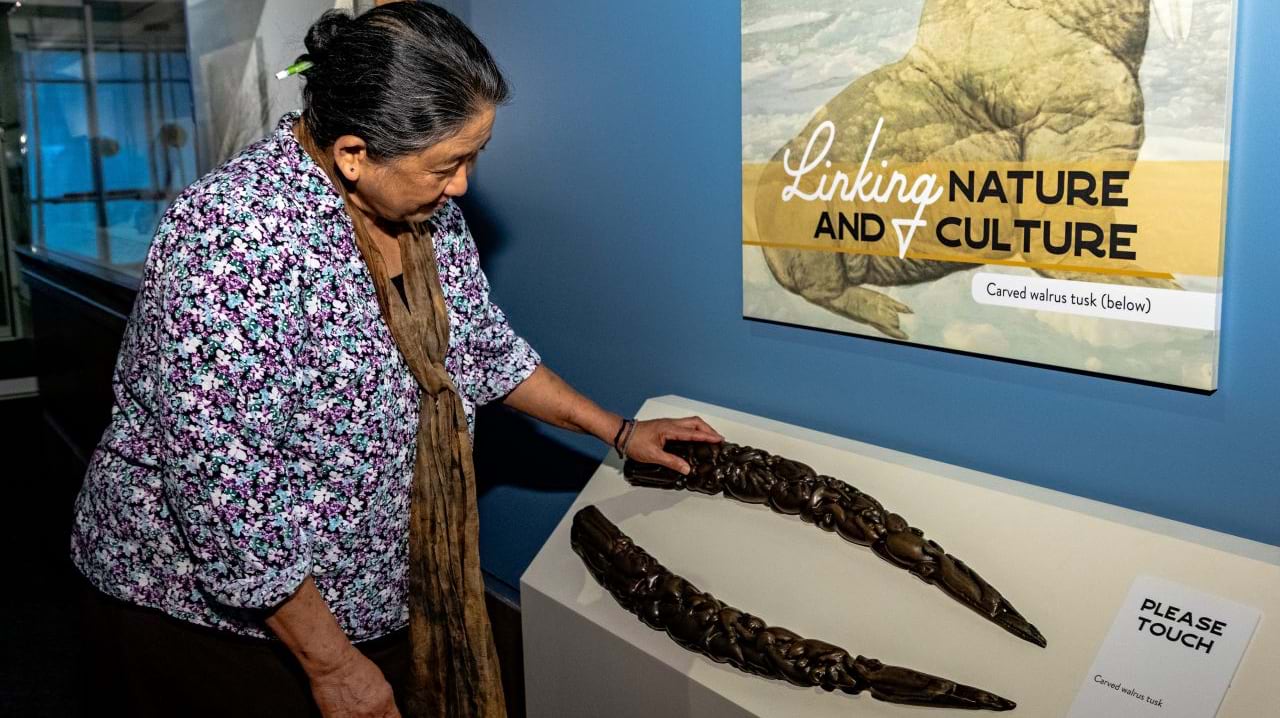 A woman reaches out to touch an intricately carved walrus tusk on a pedestal.