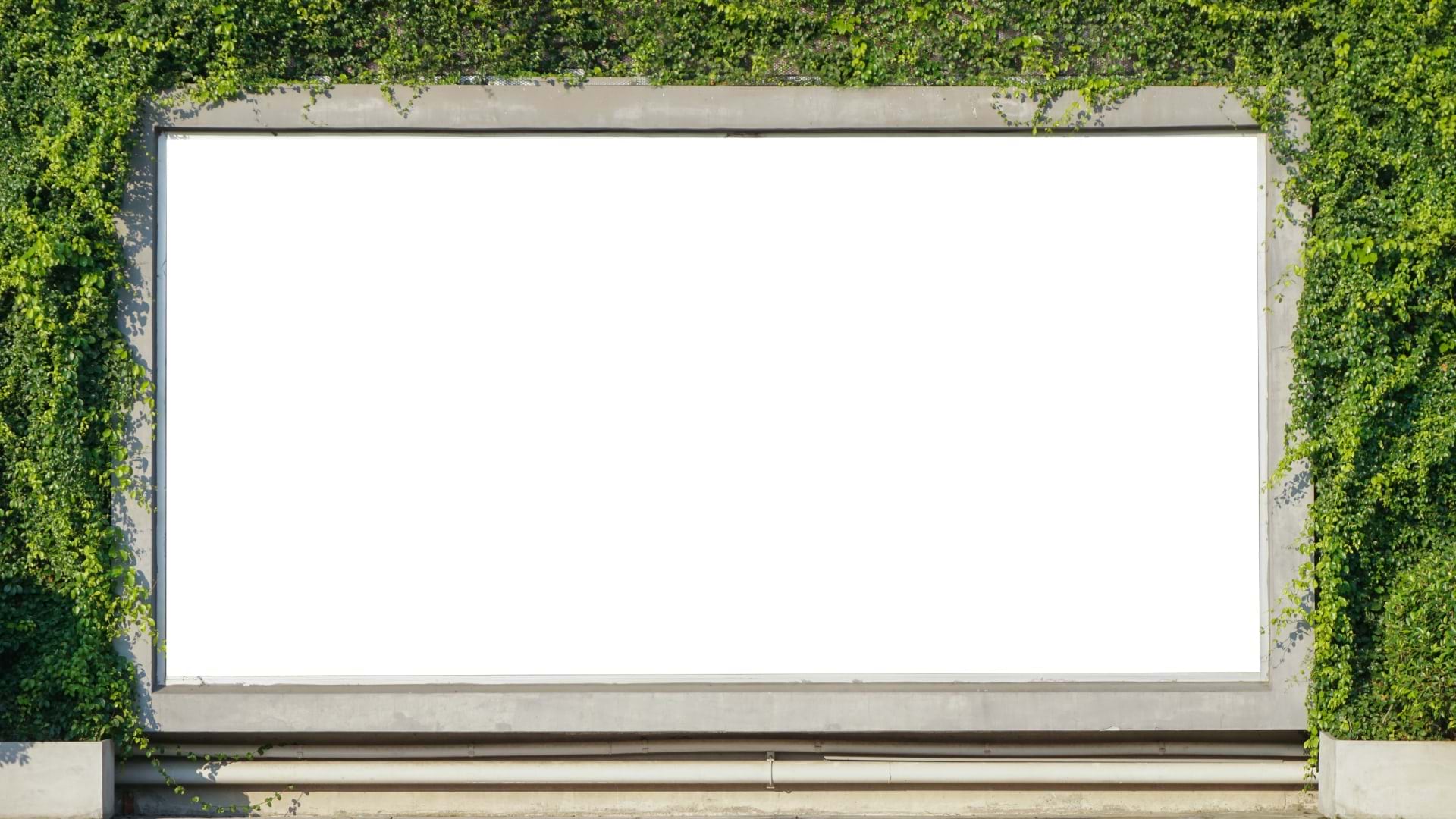 A blank, street-level billboard