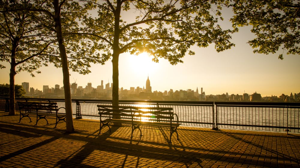 Park benches on a brick Hoboken waterfront promenade at golden hour, with tree silhouettes and the Manhattan skyline reflected in the Hudson River.