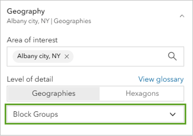 A geography popup box with the option block groups selected in a green box