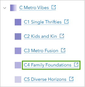C4 family foundations option selected in ArcGIS Tapestry