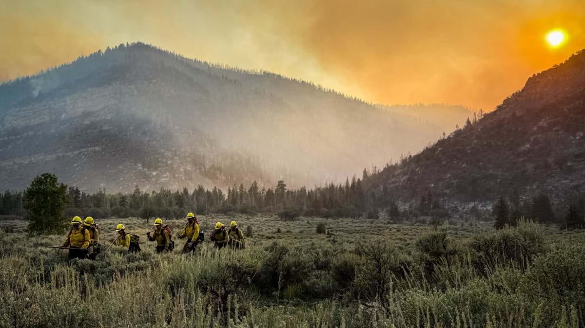 Line of wildland firefighters in yellow gear walking through smoky, sunset-lit sagebrush terrain.