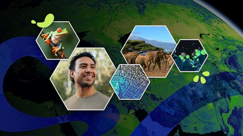 An illustration of the earth with 5 hexagon shapes with images inside of people and animals