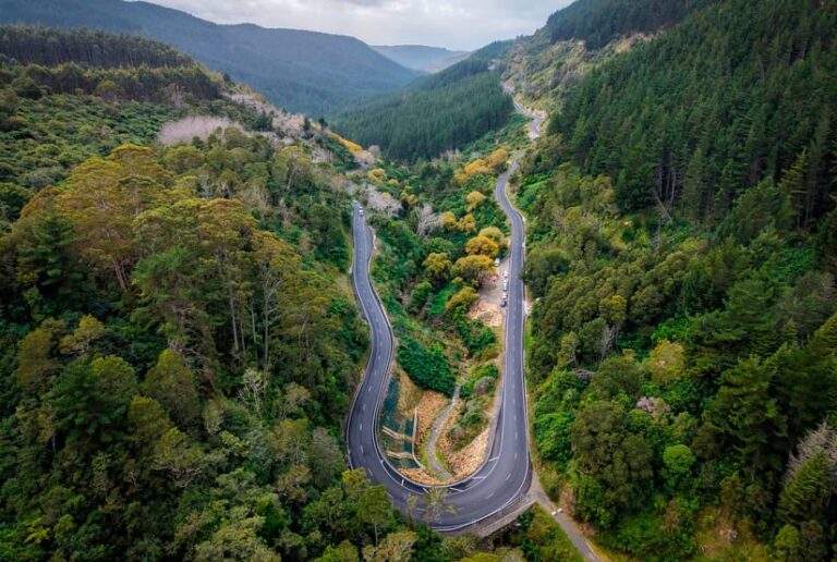 Aerial view of a winding road making a sharp hairpin turn through a deep valley filled with dense green and yellow trees.