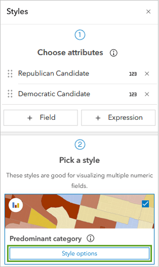 The styles pane open in Map Viewer