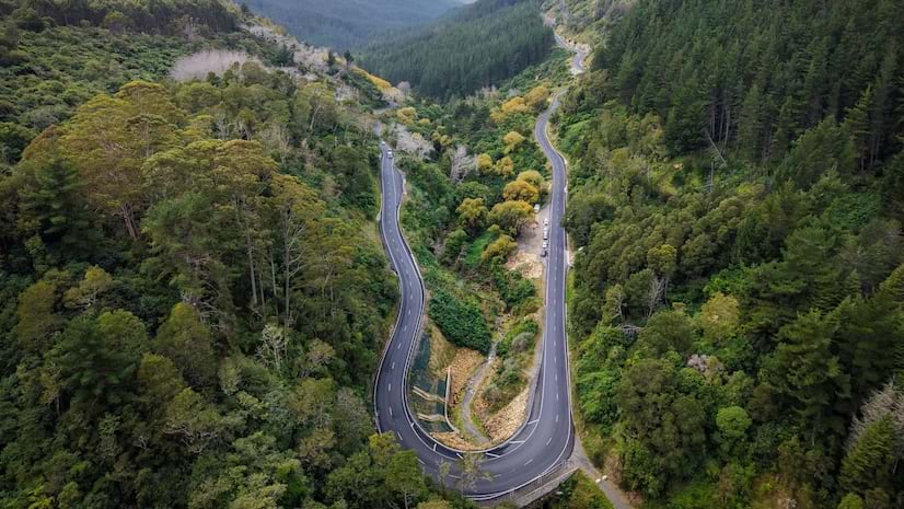 A winding road through a New Zealand forest