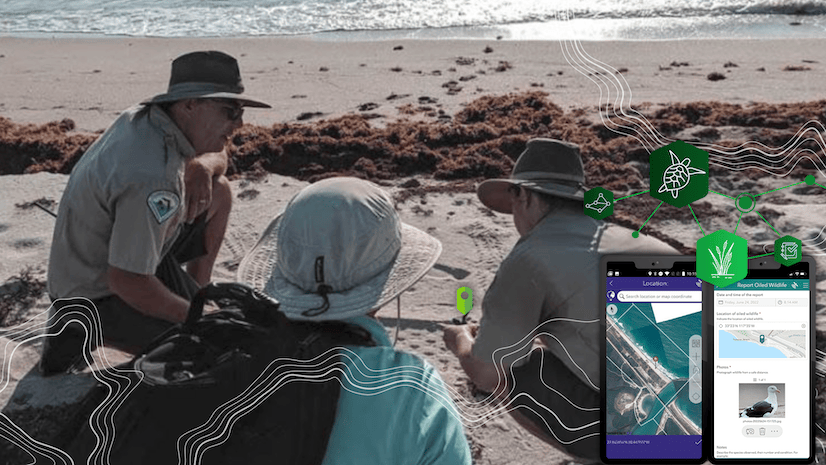 A group of researchers on a beach with an overlaid digital picture of a map