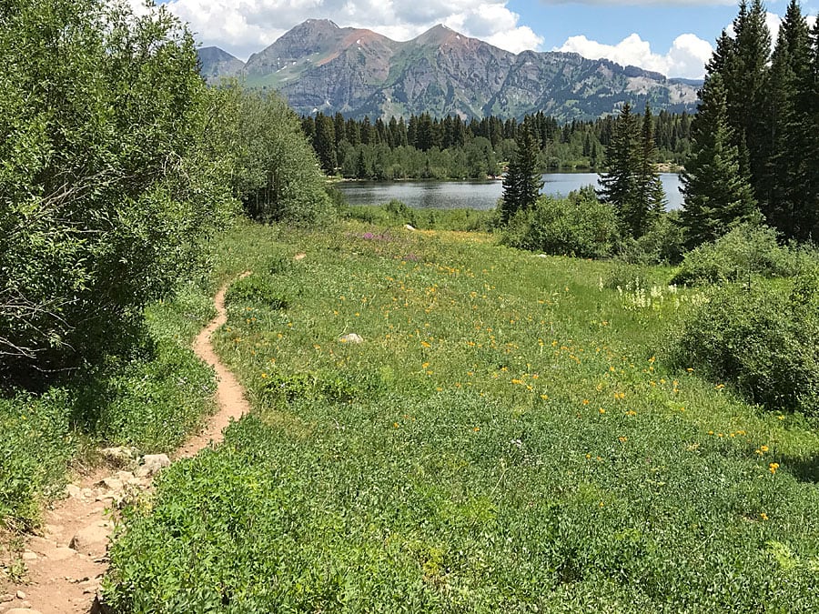 Happy Trails ArcWatch June 2018 Happy Trails ArcWatch June 2018