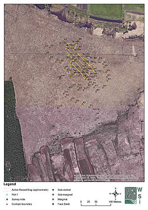 This map shows the results of a recent survey of a raised bog by WSI. The uniform light-brown color represents the high bog surface, while the most pristine area of the bog—the highest-quality active raised bog—is indicated by the yellow, hatched polygon. Peat cutting extends into the bog from its edges to the north and south. This map shows the results of a recent survey of a raised bog by WSI. The uniform light-brown color represents the high bog surface, while the most pristine area of the bog—the highest-quality active raised bog—is indicated by the yellow, hatched polygon. Peat cutting extends into the bog from its edges to the north and south.