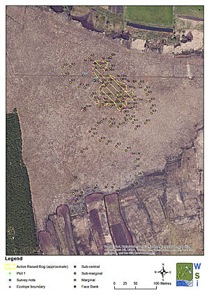 This map shows the results of a recent survey of a raised bog by WSI. The uniform light-brown color represents the high bog surface, while the most pristine area of the bog—the highest-quality active raised bog—is indicated by the yellow, hatched polygon. Peat cutting extends into the bog from its edges to the north and south.