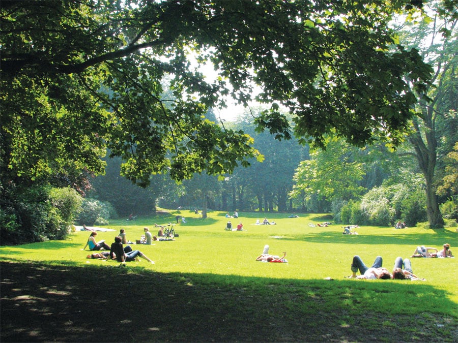 Once all the data is available, ParkServe will include green space information from nearly 14,000 cities and towns in the United States. Once all the data is available, ParkServe will include green space information from nearly 14,000 cities and towns in the United States.