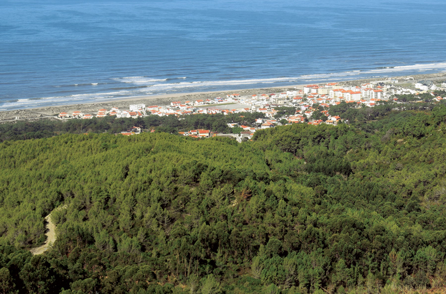 Portuguese wood supplier Abastena uses GIS to help other wood and paper companies obtain and maintain Forest Stewardship Council (FSC) certification.