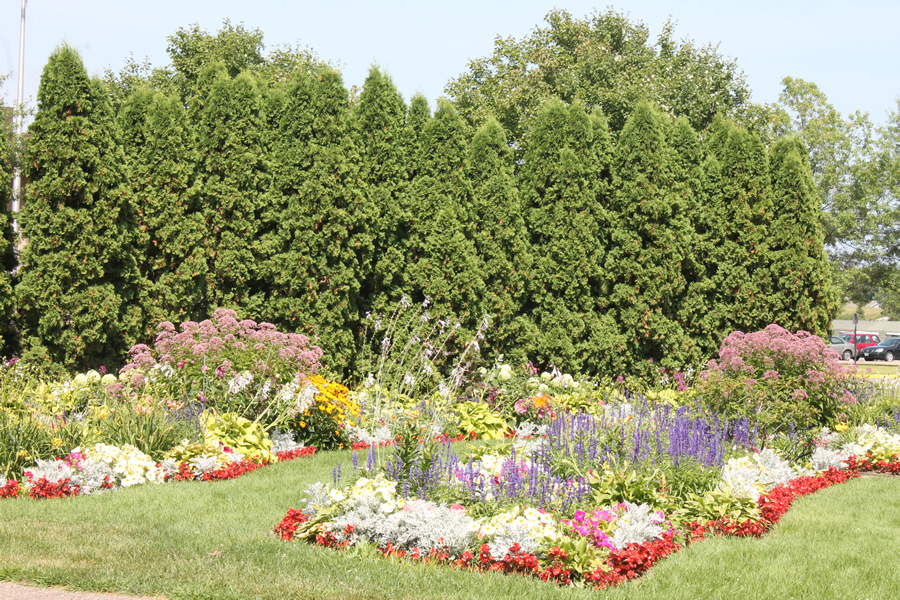 People who adopt a park for the summer can plant flowers as long as they agree to water and weed them. People who adopt a park for the summer can plant flowers as long as they agree to water and weed them.