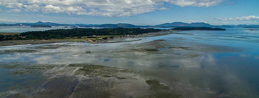 Taylor Shellfish Farms uses GIS to manage aquaculture operations in Samish Bay, Washington, and other locations. Photo courtesy of Taylor Shellfish Farms.