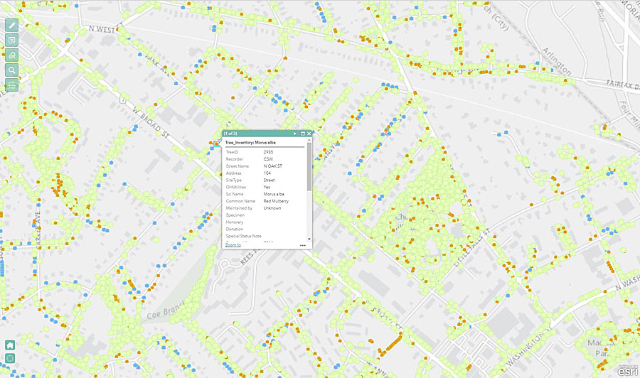Andrew Peters used Web AppBuilder for ArcGIS to configure the tree inventory app.