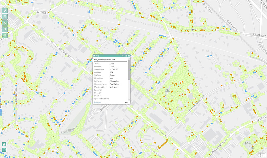 Andrew Peters used Web AppBuilder for ArcGIS to configure the tree inventory app. Andrew Peters used Web AppBuilder for ArcGIS to configure the tree inventory app.
