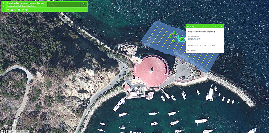Algae sightings were mapped on top of imagery. Algae sightings were mapped on top of imagery.