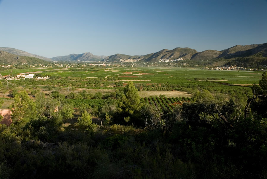 Agriculture is vital to the Valencia region.