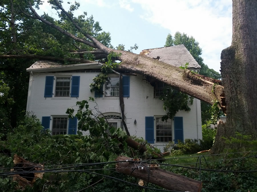 A tree on private property collapsed during a storm, damaging a house in Washington, DC. A tree on private property collapsed during a storm, damaging a house in Washington, DC.