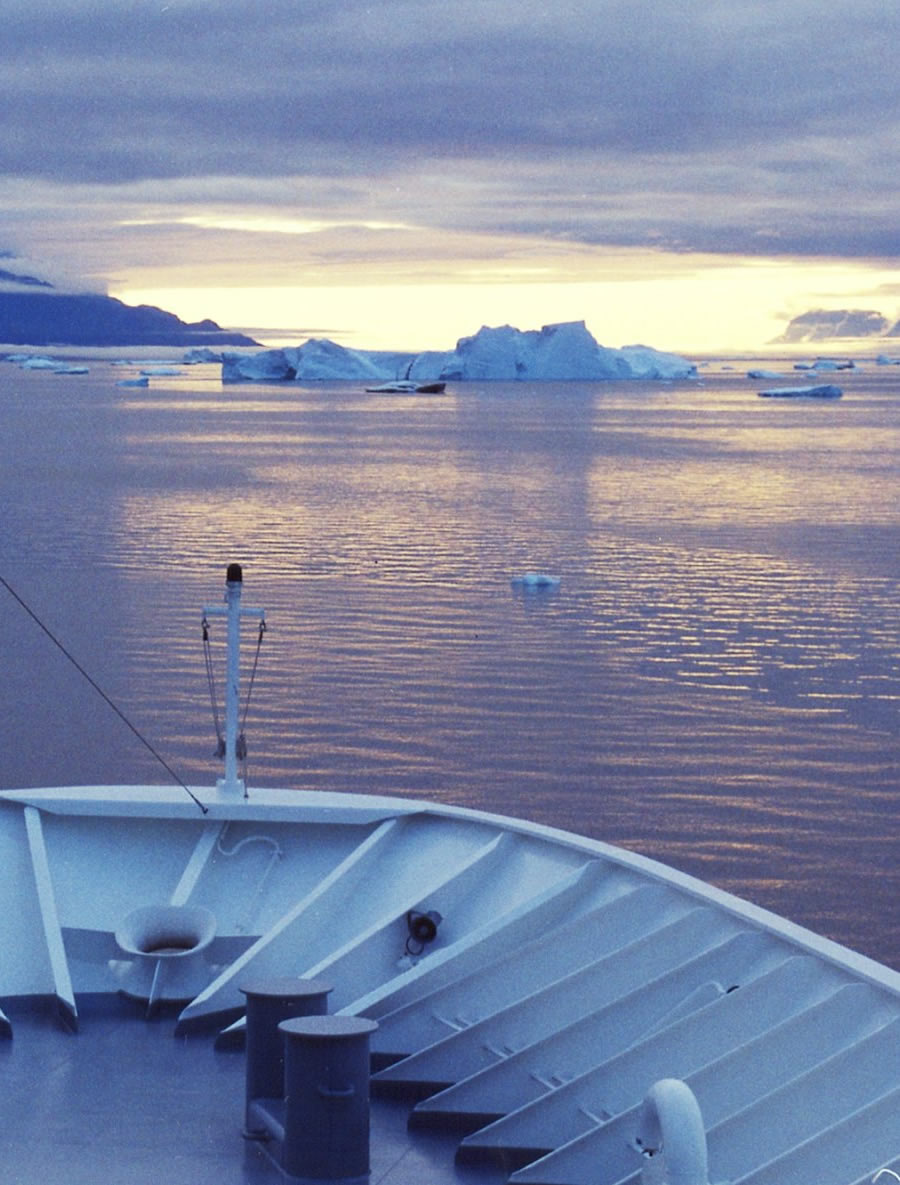 Vessels laden with heavy fuel oil operate close to the edge of the ice and near vulnerable fish and sea mammals.